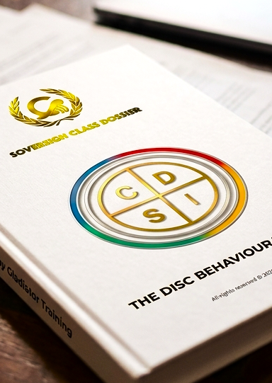 The DISC Framework